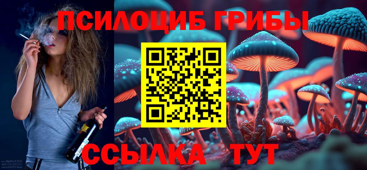 Псилоцибиновые грибы GOLDEN TEACHER  где найти   Серов  Вход с VPN  Галлюциногенные грибы Magic Shrooms 