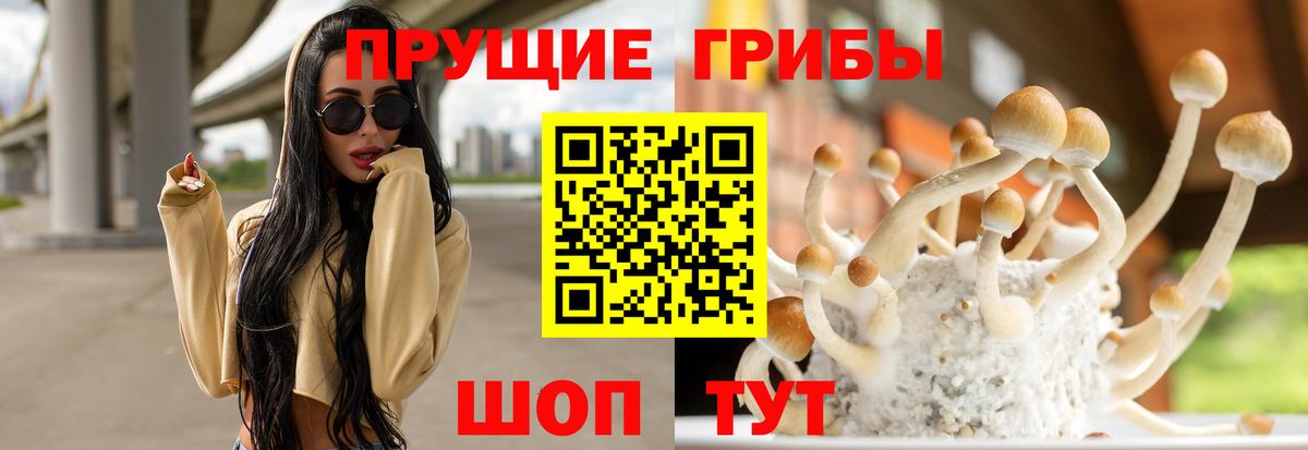 Галлюциногенные грибы Magic Shrooms Серов